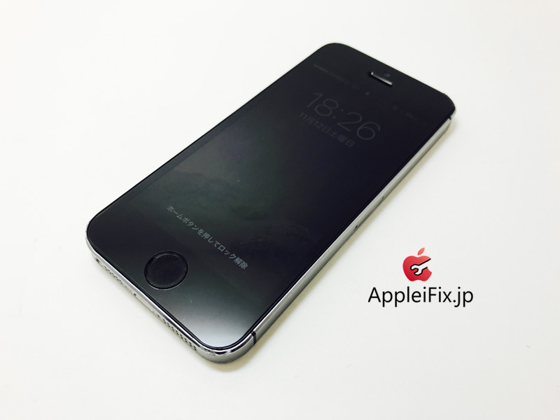 iPhone5S Spacegrey_repair_4.jpg