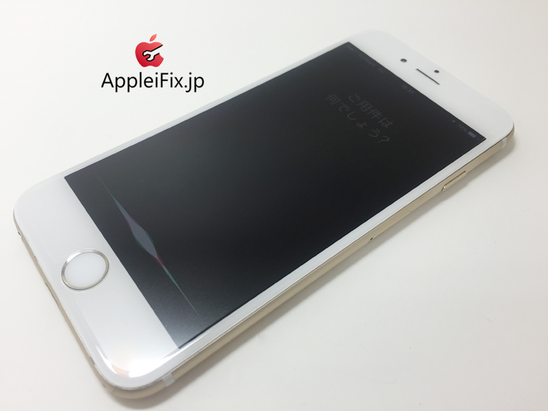 iPhone6 Gold_repair_4.jpg