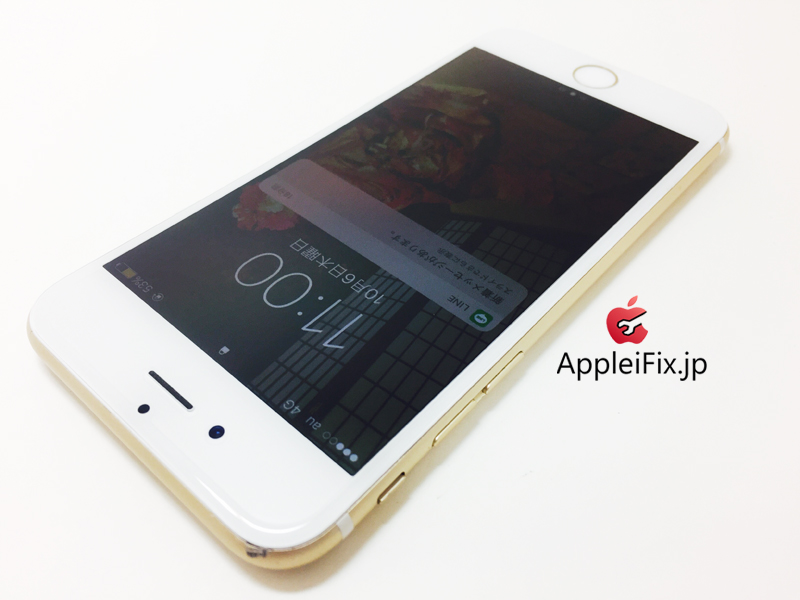 iPhone6 Gold_repair_4.jpg