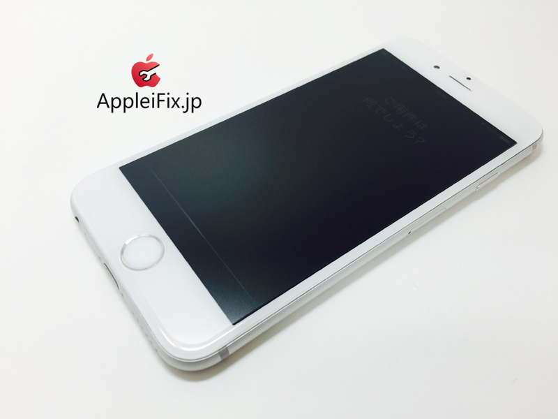 iPhone6 Silver_repair_4.jpg