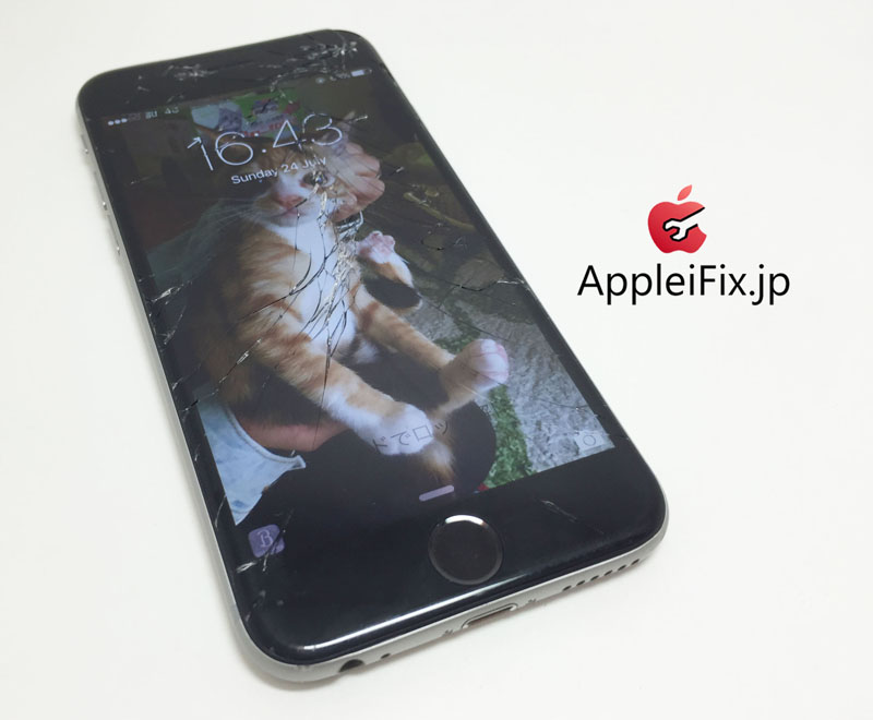 iPhone6画面修理AppleiFix4.JPG