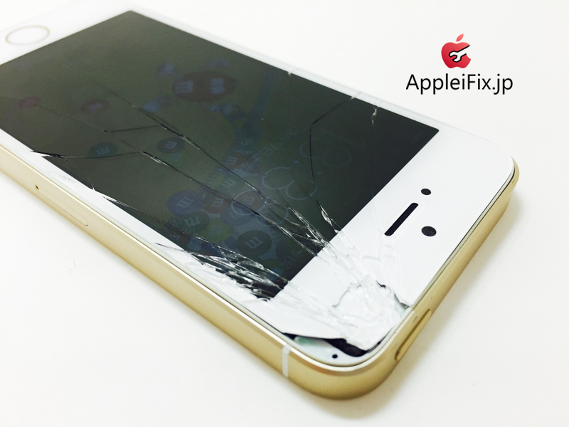 iPhone5S Gold_Repair_1.jpg