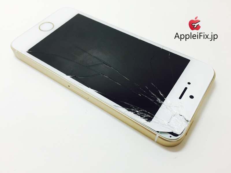 iPhone5S Gold_Repair_3.jpg