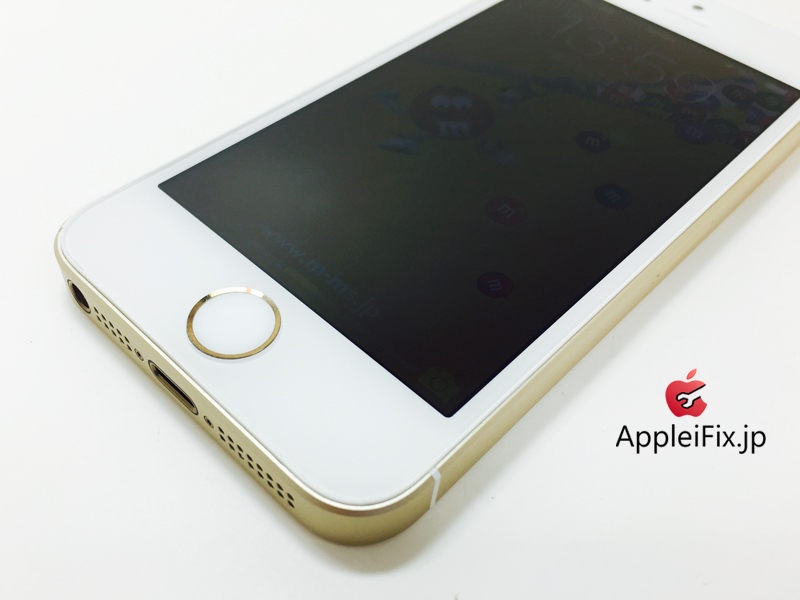 iPhone5S Gold_Repair_2.jpg