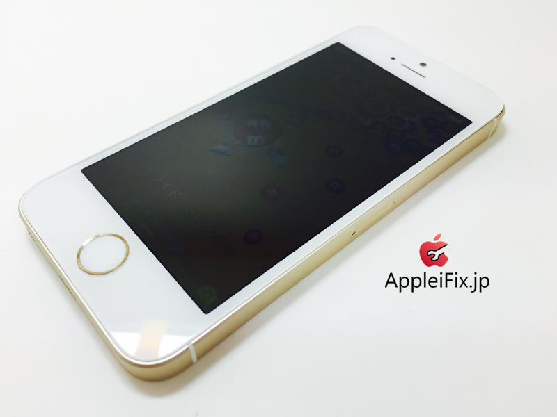 iPhone5S Gold_Repair_4.jpg