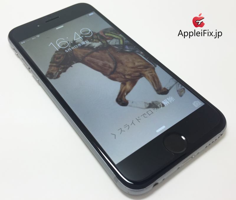 iPhone6 Spacegrey-1_repair_2.jpg