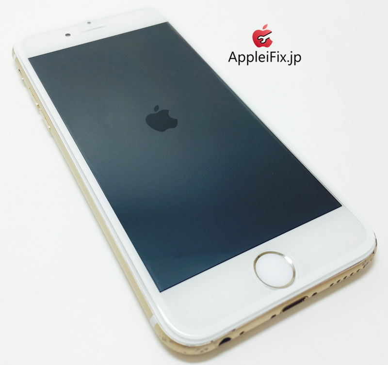 iPhone6 Gold_repair_4.jpg