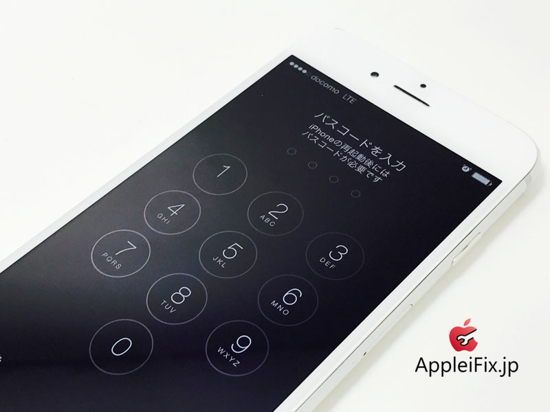 iPhone6 Silver_Repair_3.jpg