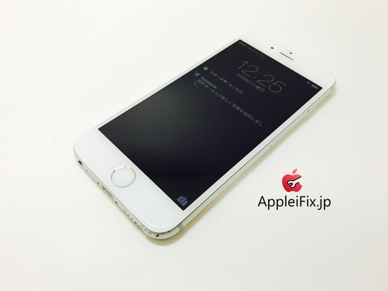 iPhone6 Silver_Repair_4.jpg