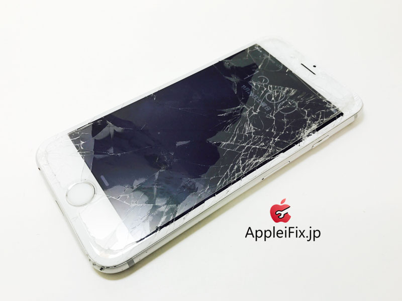 iPhone6 Silver_Repair_2.jpg