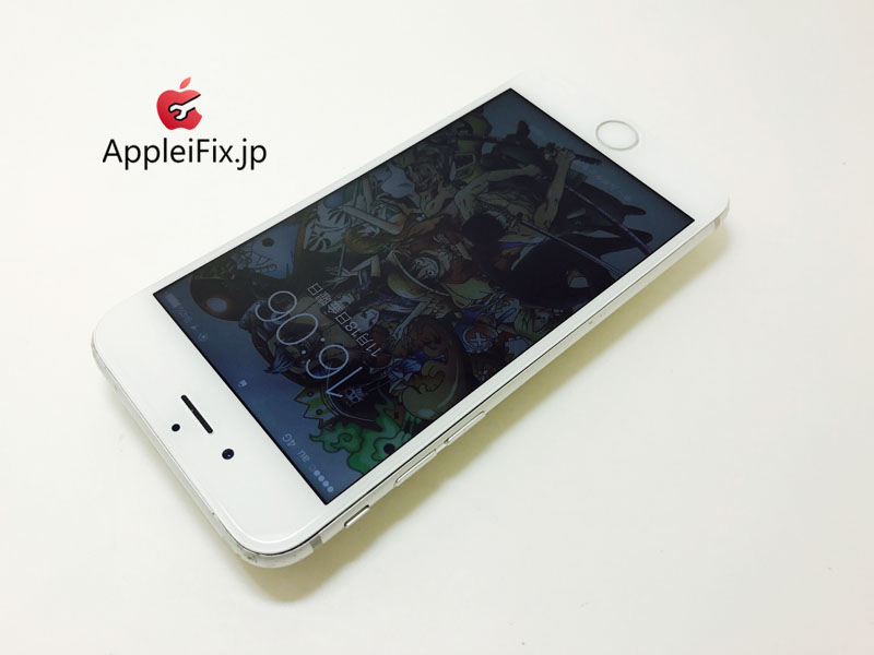 iPhone6 Silver_Repair_4.jpg