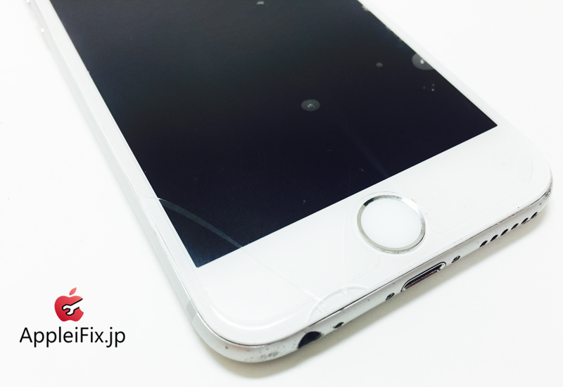 iPhone6 Silver_repair_1.jpg