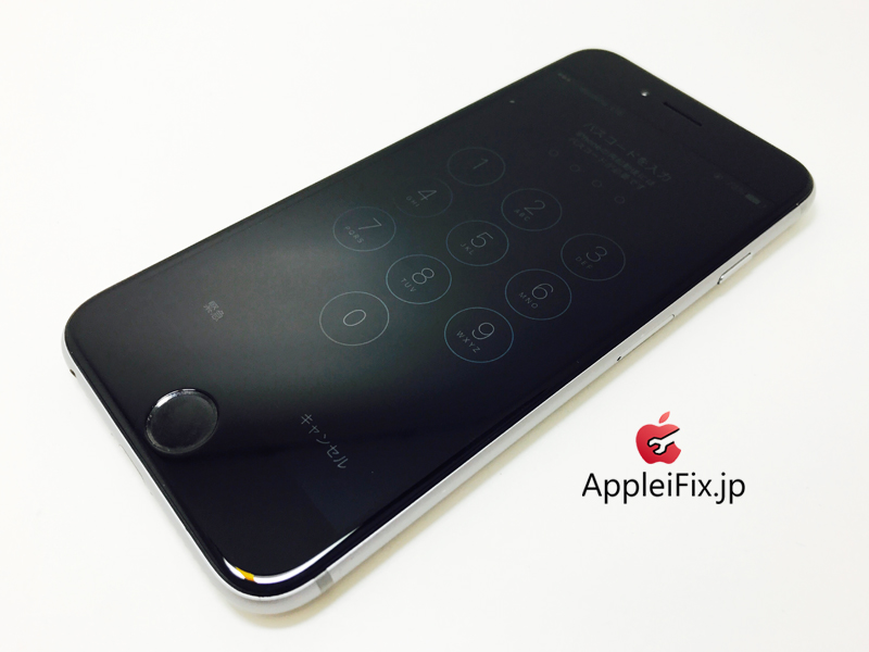 iPhone6S Spacegrey_repair_4.jpg