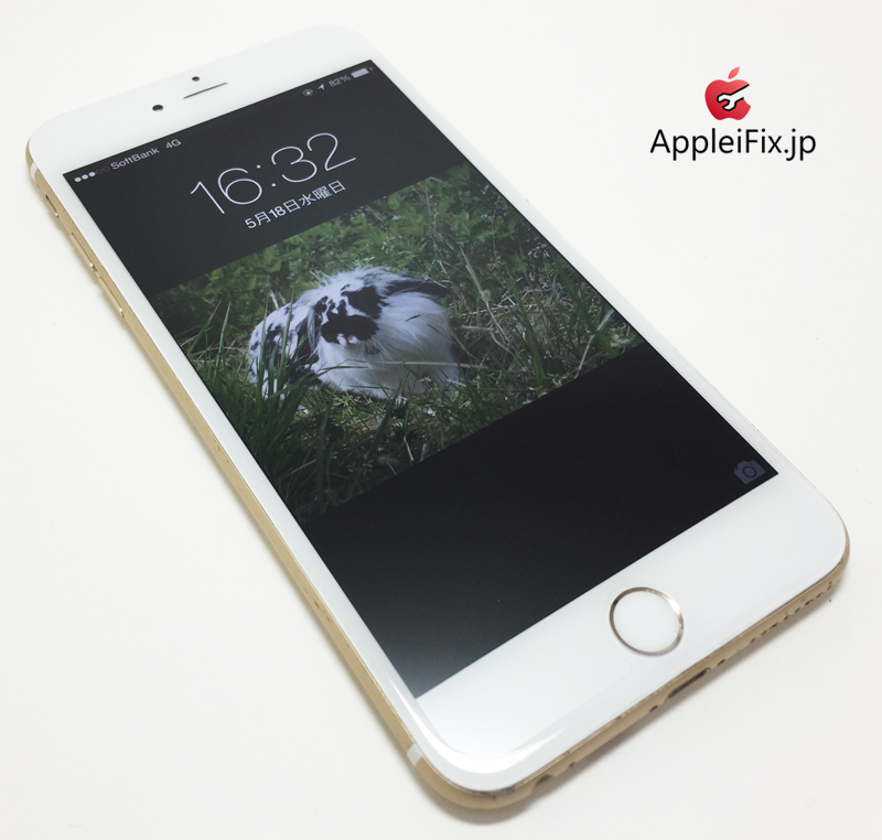 iPhone6 Gold-1_repair_6.jpg