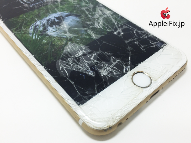 iPhone6 Gold-1_repair_5.jpg