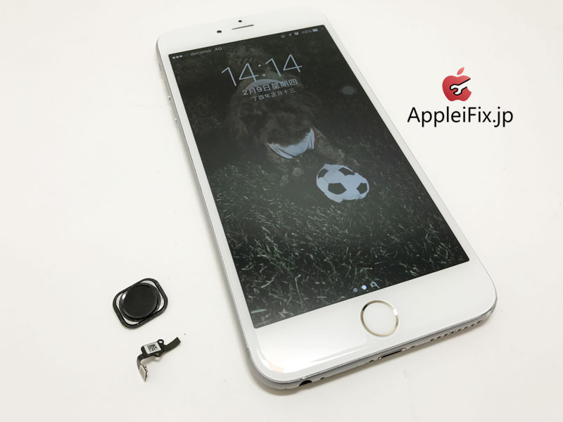 iPhone6Plus画面交換修理とホームボタン交換修理_Repair_4.jpg