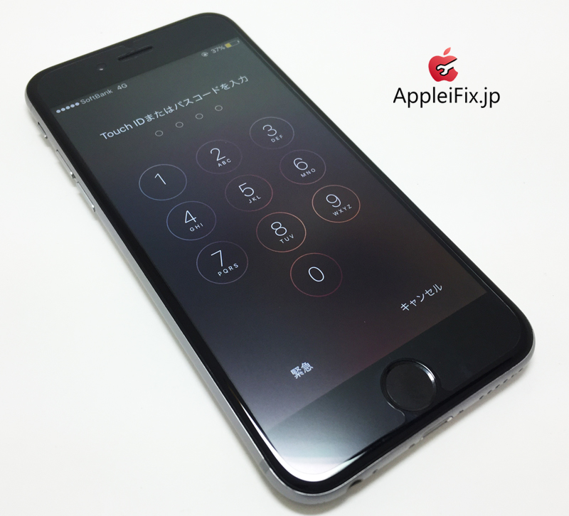 iPhone6 Spacegrey-1_repair_4.jpg