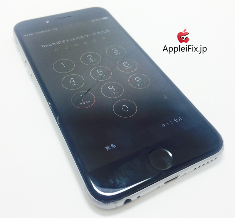 iPhone6 Spacegrey_repair_3.jpg