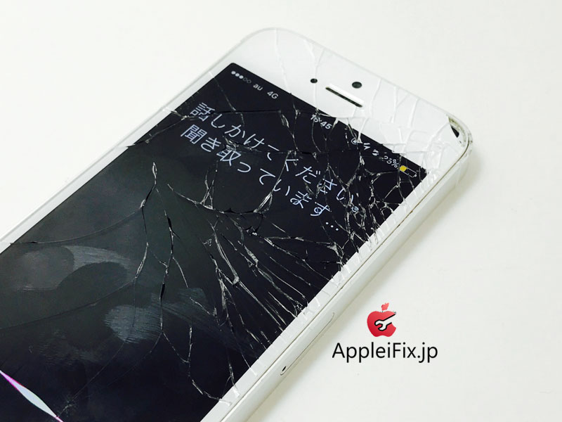 iPhone5S Silver_repair_1.jpg