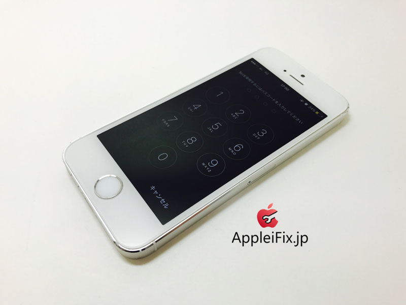 iPhone5S Silver_repair_4.jpg