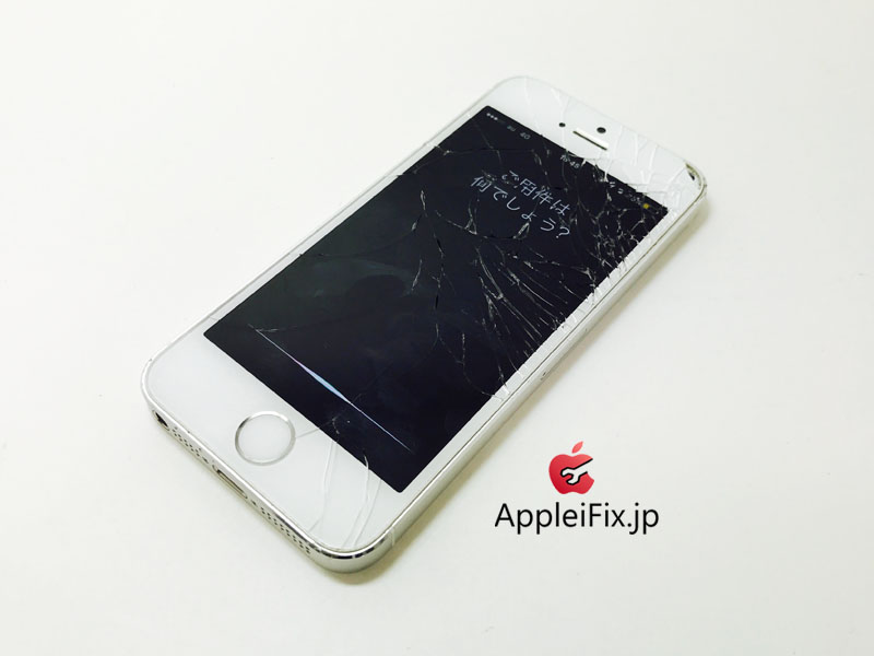 iPhone5S Silver_repair_3.jpg