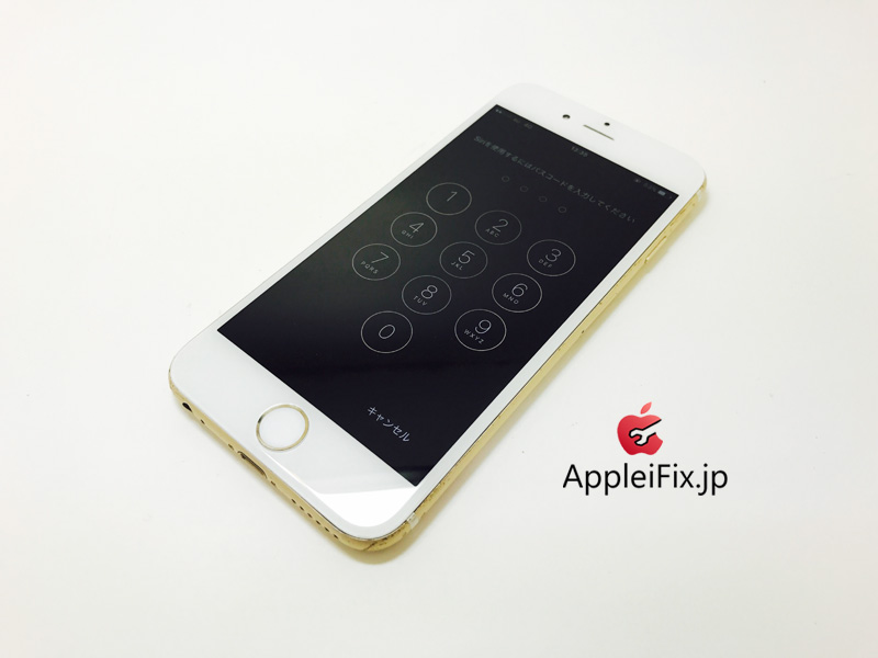 iPhone6 Gold_repair_4.jpg