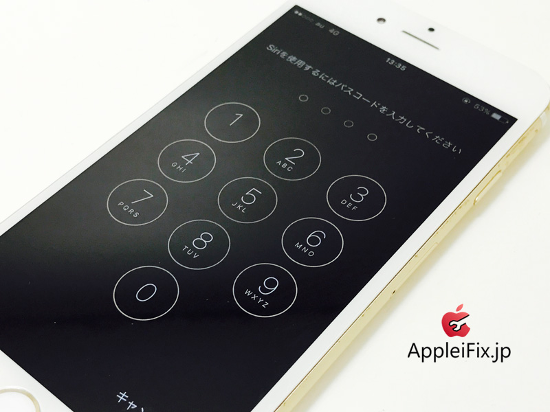 iPhone6 Gold_repair_3.jpg