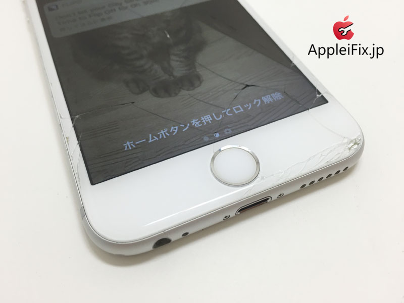 iPhone6画面修理_repair_1.jpg