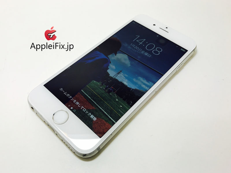 iPhone6 Silver-1_repair_4.jpg