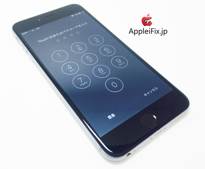 iPhone6 Plus spacegrey_repair_4.jpg