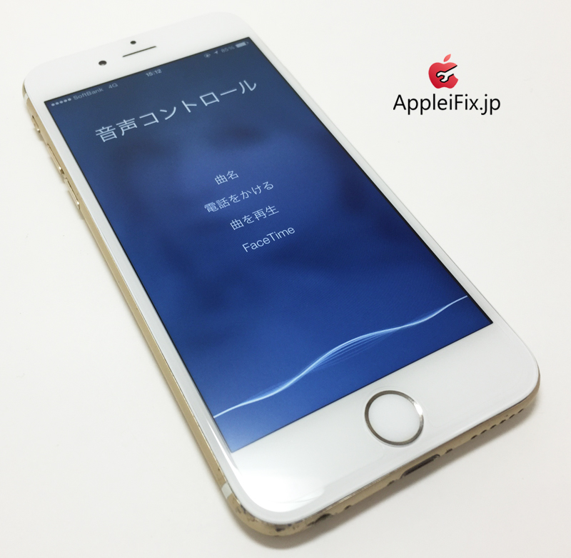 iPhone6 Gold-1_repair_4.jpg