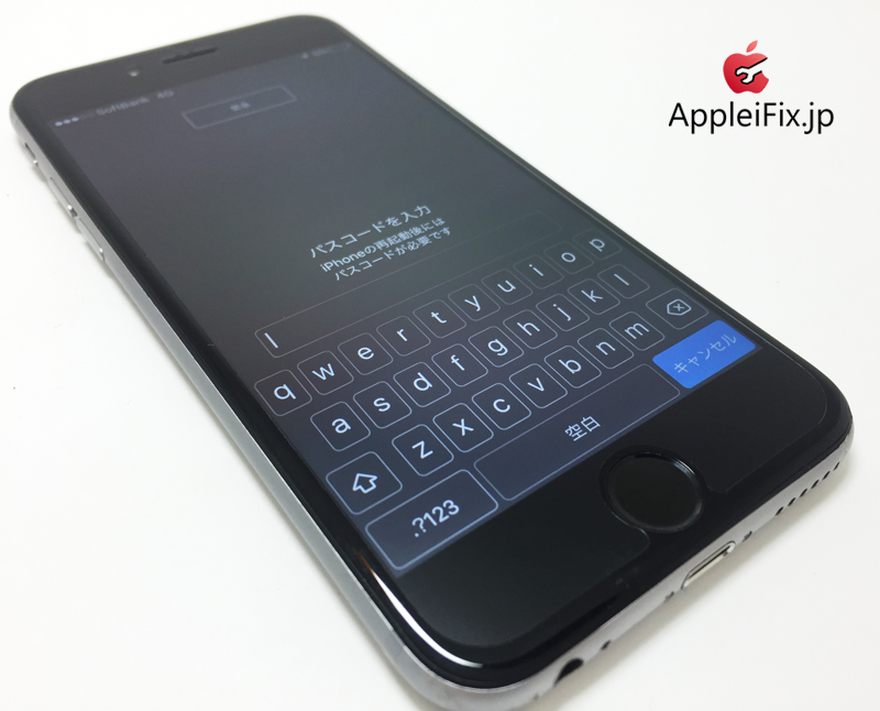 iPhone6 Spacegrey_repair_5.jpg