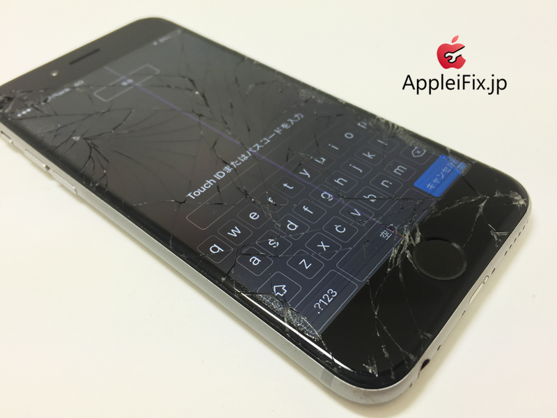 iPhone6 Spacegrey_repair_3.jpg