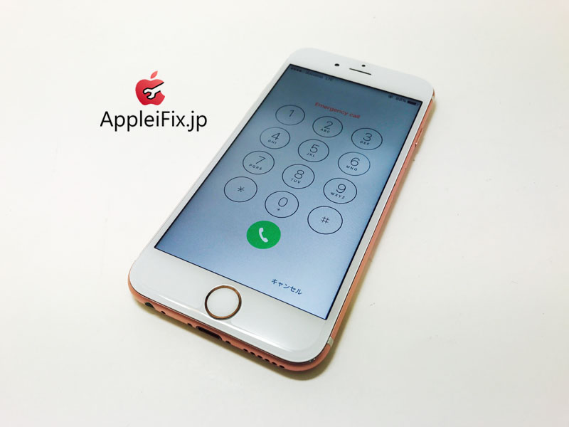 iPhone6S Rosegold_repair_4.jpg