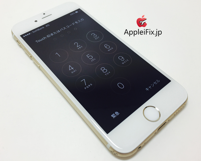 iPhone6 Gold_repair_4.jpg