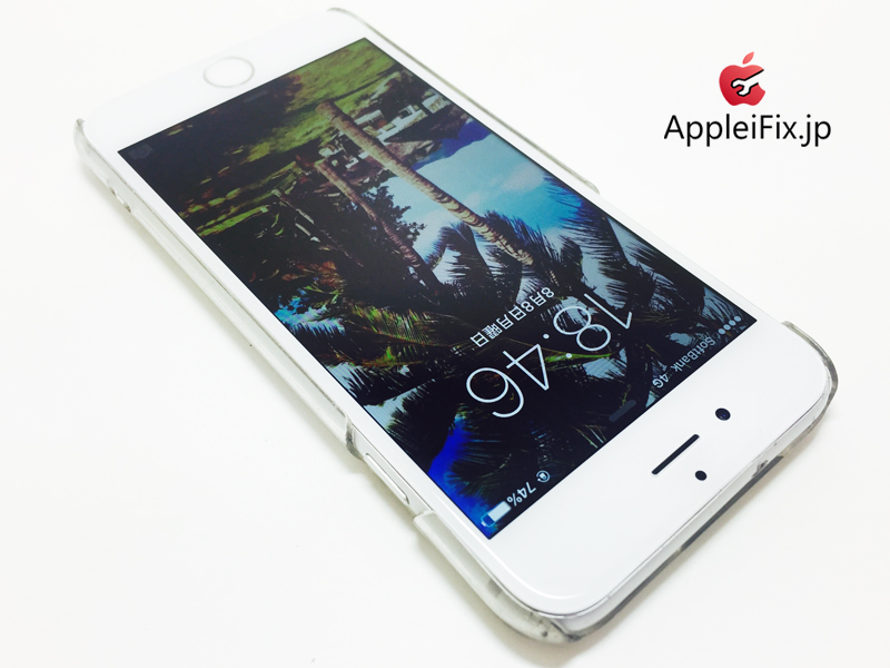 iPhone6 Silver_repair_4.jpg