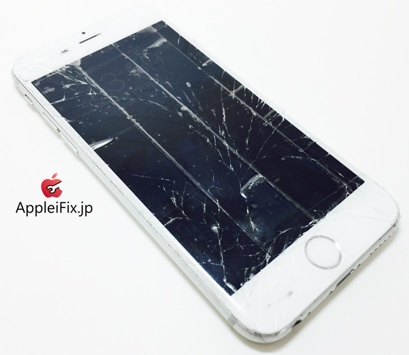 iPhone6 Silver_repair_3.jpg