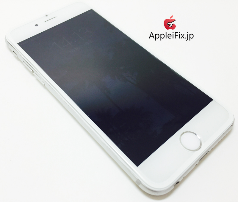 iPhone6 Silver_repair_4.jpg