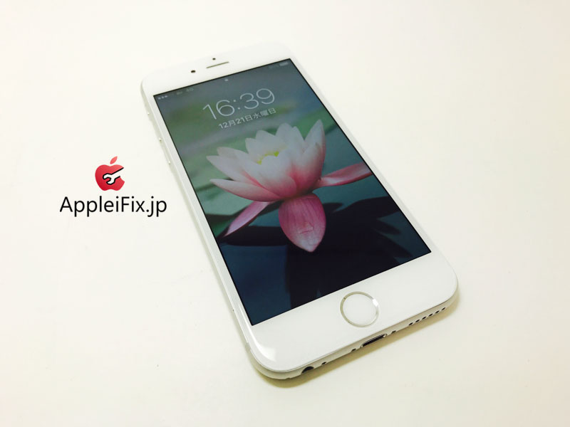 iPhone6 Silver_repair_4.jpg