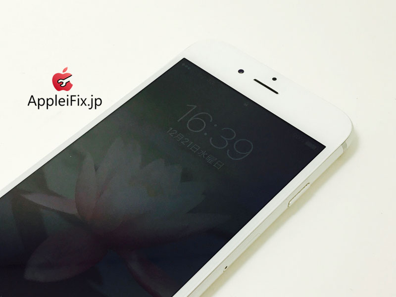 iPhone6 Silver_repair_3.jpg