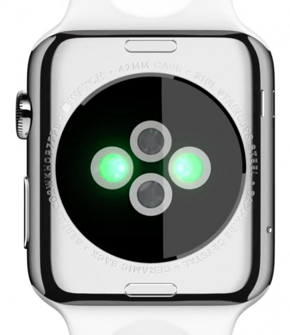 Apple-WAtch-heart-rate-sensor-back-001-e1432644626253.jpg